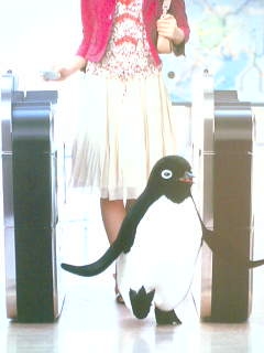 penguin_gates.jpg